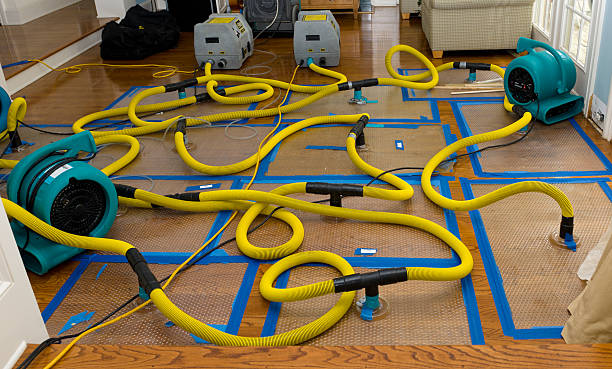 Professional Water Damage Restoration technician working in Aston, PA